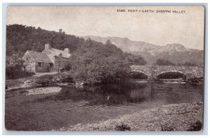 Wales Postcard View of Pont-Y-Garth Dyssyni Valley c1910 Antique Unposted