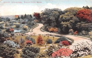 Arnold Arboretum in Forest Hill, Massachusetts