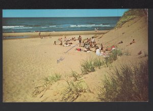 PEI CAVENDISH BEACH Sun bathers and sand dunes National Park pm1963~ Chrome
