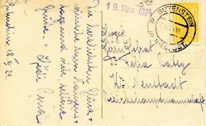 Flowers.   Artist: Catherine Klein