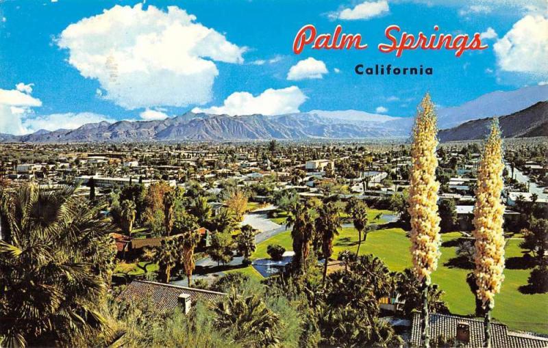 Palm Springs California Birdseye View Of City Vintage Postcard K61711