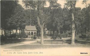 BATTLE CREEK MICHIGAN Mc Calmy Park Undivided Rotograph postcard 100733