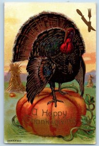 Odell Nebraska NE Postcard Thanksgiving Turkey On Top Of Pumpkin Embossed 1909