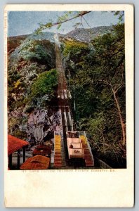 Mt. Lowe Incline Division  Pacific Elevated Railway California  Postcard  c1907