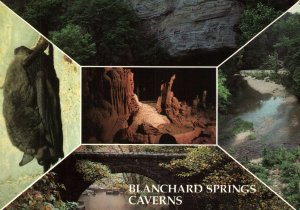 CONTINENTAL SIZE POSTCARD REPRODUCTION OF BLANCHARD SPRINGS CAVERNS FIFTY SIX AR