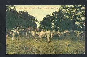 MARION ALABAMA GATES FARM JERSEY COWS CATTLE VINTAGE POSTCARD 1908
