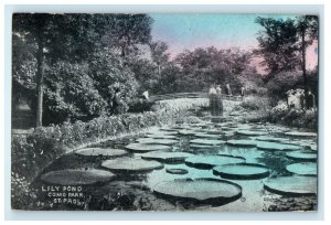 1909 Lily Pond Como Park St Paul Minnesota MN Posted Antique Postcard 