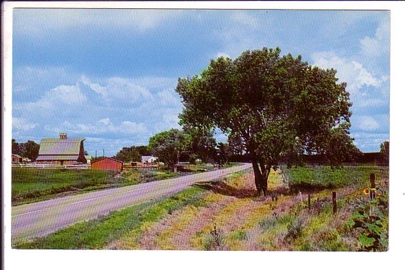 Didsbury, Alberta, Cattle Ranch on Modern Highway