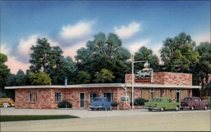 Tampa Florida FL Luigi's Restaurant Classic 1950s Cars Vintage Postcard