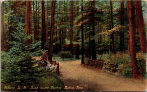 Postcard NH Merrimack County Concord Road Toward Pavilion Rolling Park 1914 S89