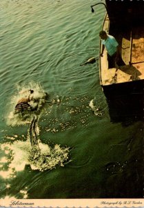 Rhode Island Lobsterman Throwing Lobster Trap