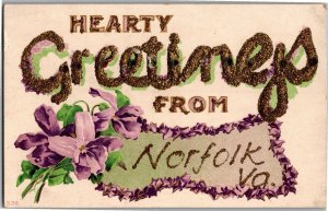 Hearty Greetings from Norfolk VA Embossed Glitter Vintage Postcard D04