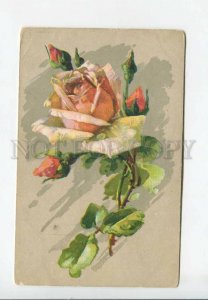 3176235 Charming ROSES Pink by C. KLEIN Vintage Russian PC