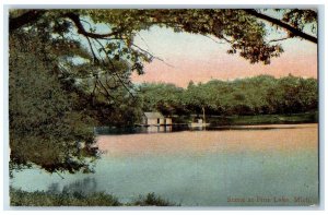 1910 Scene At Pine Lake Canoeing Trees Scene Michigan MI Posted Vintage Postcard