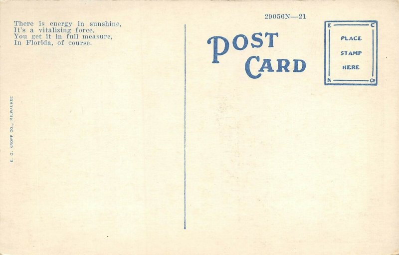 Miami Florida 1920-30s Postcard Silver Bluff 