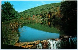 M-29402 Lone Wild Duck in his Private Little Pond Taken from Bissel Covered B...