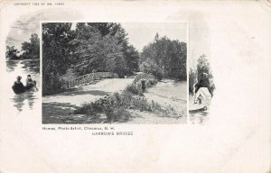 Narrows Bridge, Chocorua, New Hampshire, Private Mailing Card, Unused