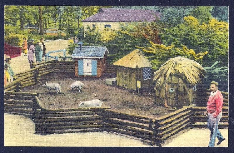 Three Little Pigs Belle Isle Zoo unused c1940's