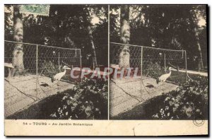 Old Postcard Zoo Botanical Garden Tours In