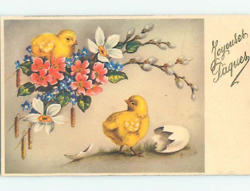 Divided-Back easter signed FOREIGN - CHICKS WITH PINK & BLUE FLOWERS r3515