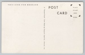 Memphis Tennessee~Cossitt Library Close Up~1940s B&W Postcard