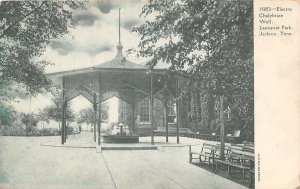 J39/ Jackson Tennessee Postcard c1910s Electro Chalybrate Well  59