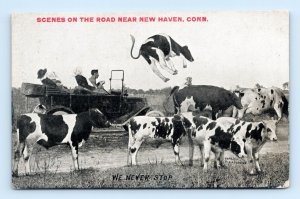 Automobile Comic We Never Stop For Cows New Haven CT UNP DB Postcard Q4