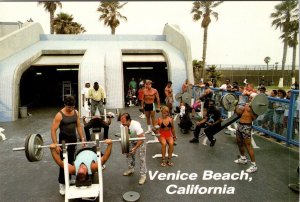 Venice Beach, CA California  MUSCLE BEACH  Outdoor Weightlifters  4X6 Postcard