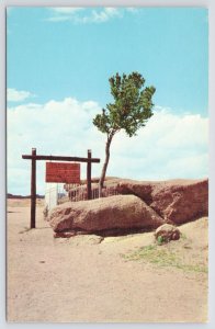 State View~West Of Cheyenne WY~Lone Pine Tree Out Of Rock~US 30~Vintage Postcard