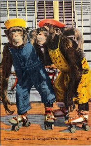 Linen Postcard Chimpanzee Theatre in Zoological Park in Detroit, Michigan