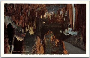 VINTAGE POSTCARD STEBBIN'S AVENUE AT THE CAVERNS OF LURAY VIRGINIA 1920s