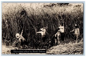 South Dakota SD Postcard RPPC Photo Farmers Harvesting Wheat Farming c1910's