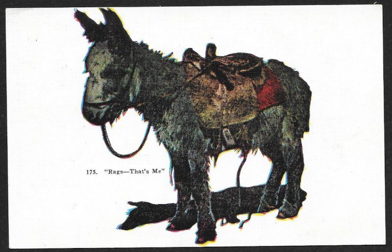 Rags Thats Me A Donkey Unused c1910s