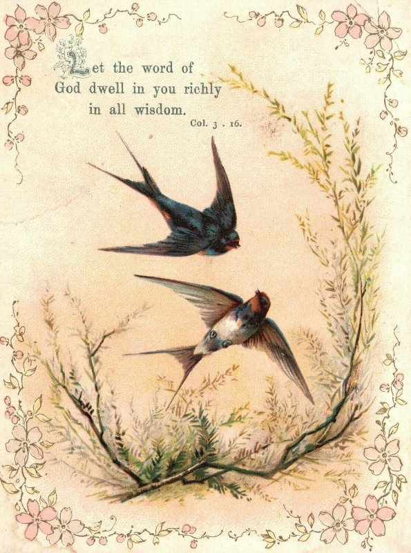 1880s-90s Two Birds Flying Let the Word of God Dwell Rich Wisdom Trade Card