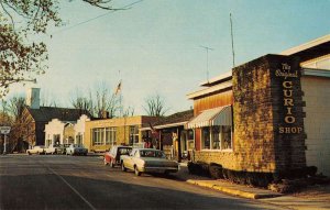 Nashville Indiana Main Street Curio Shop Vintage Postcard AA44877