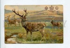 3156977 DEER Hunt vintage ADVERTISING ABRIKOSOV Sons Russian PC