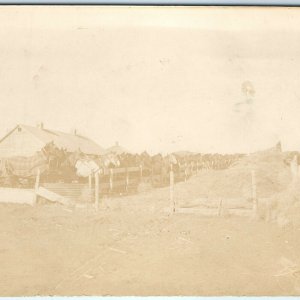 1911 Hartington, Neb. Large Group Horses RPPC Farm Real Photo Barn Postcard A44 