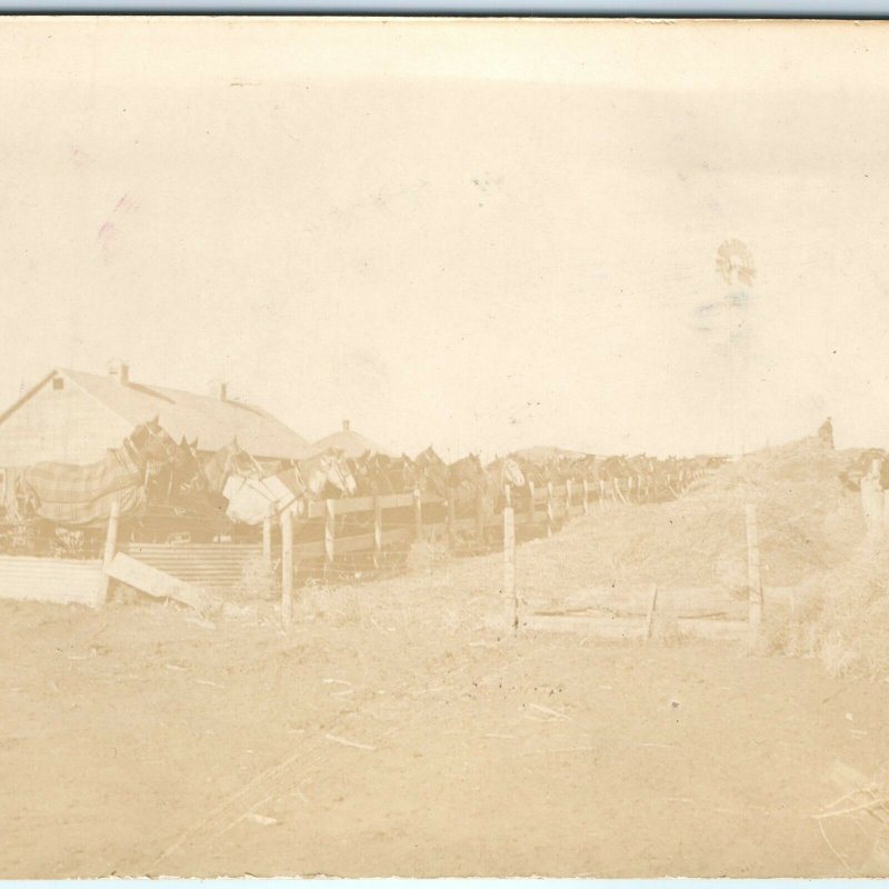 1911 Hartington, Neb. Large Group Horses RPPC Farm Real Photo Barn Postcard A44