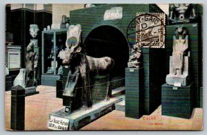 Cairo   Egypt  Museum  Postcard