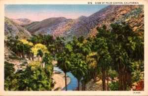 California View Of Palm Canyon