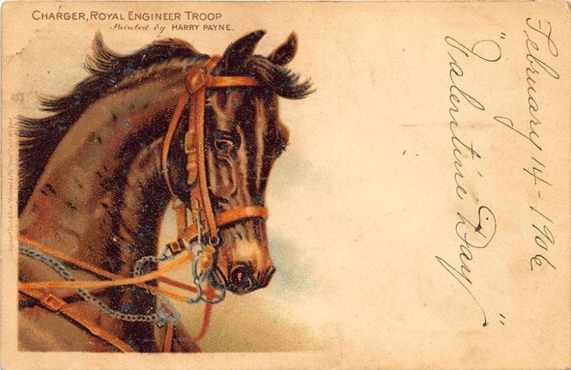 Charger Horse Royal Engineer Troop Harry Payne  Raphael Tuck #547 Postcard