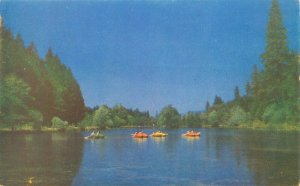 Cobb Lake County California Forest Lake Resort, Boats Vintage Chrome Postcard