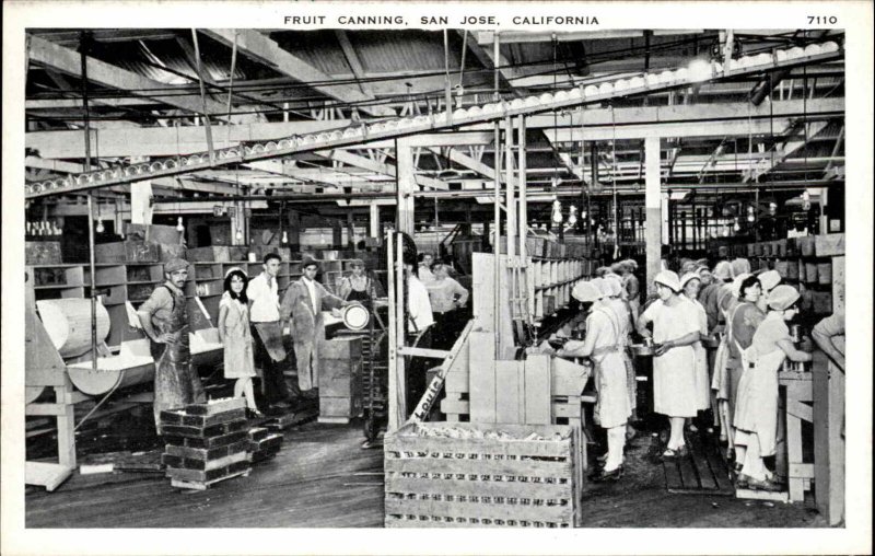 San Jose California CA Fruit Canning Cannery Vintage Postcard