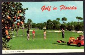 Golf in FL Postcard 4206