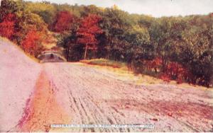 FORT DODGE IOWA DRIVEWAY IN OLESON'S PARK POSTCARD 1910s