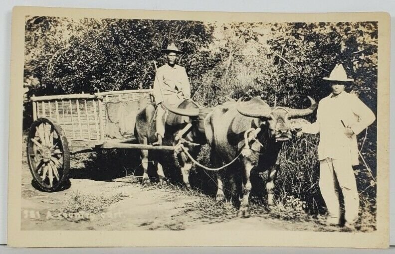 Phillipines RPPC Farmers and Beautiful Large Oxen with Cart Postcard Q9