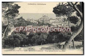 Postcard Old MONTE CARLO VIEW TAKEN BETWEEN PINS