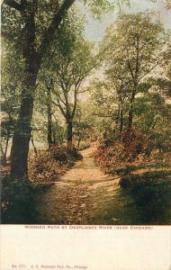 C-1910 Desplaines River Wooded Path Chicago Illinois Hammon postcard 399