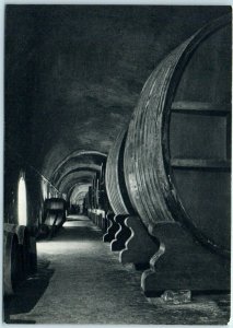 Postcard - Reserve Wine Gallery - Moët & Chandon - Épernay, France