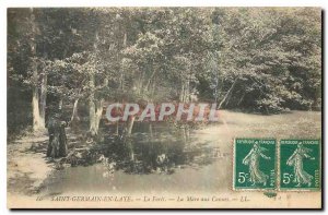 Old Postcard Saint Germain en Laye La Foret La Mare aux Cannes